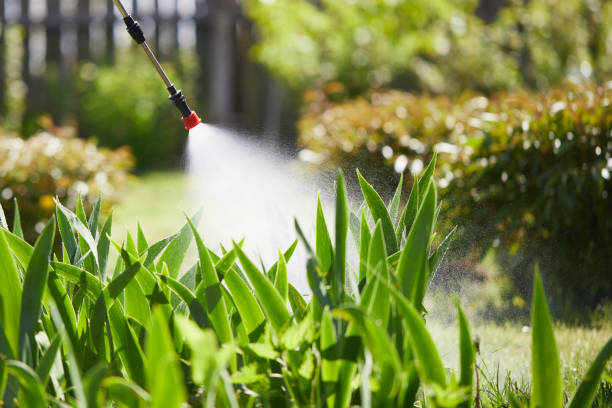 24/7 Emergency Mosquito Control experts in Sebring, OH